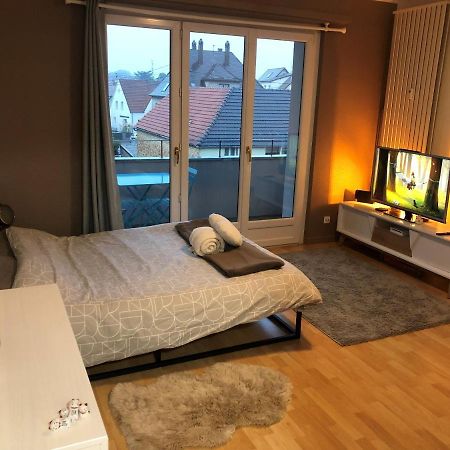 Cosy-Adventure : Haguenau Apartamento Exterior foto
